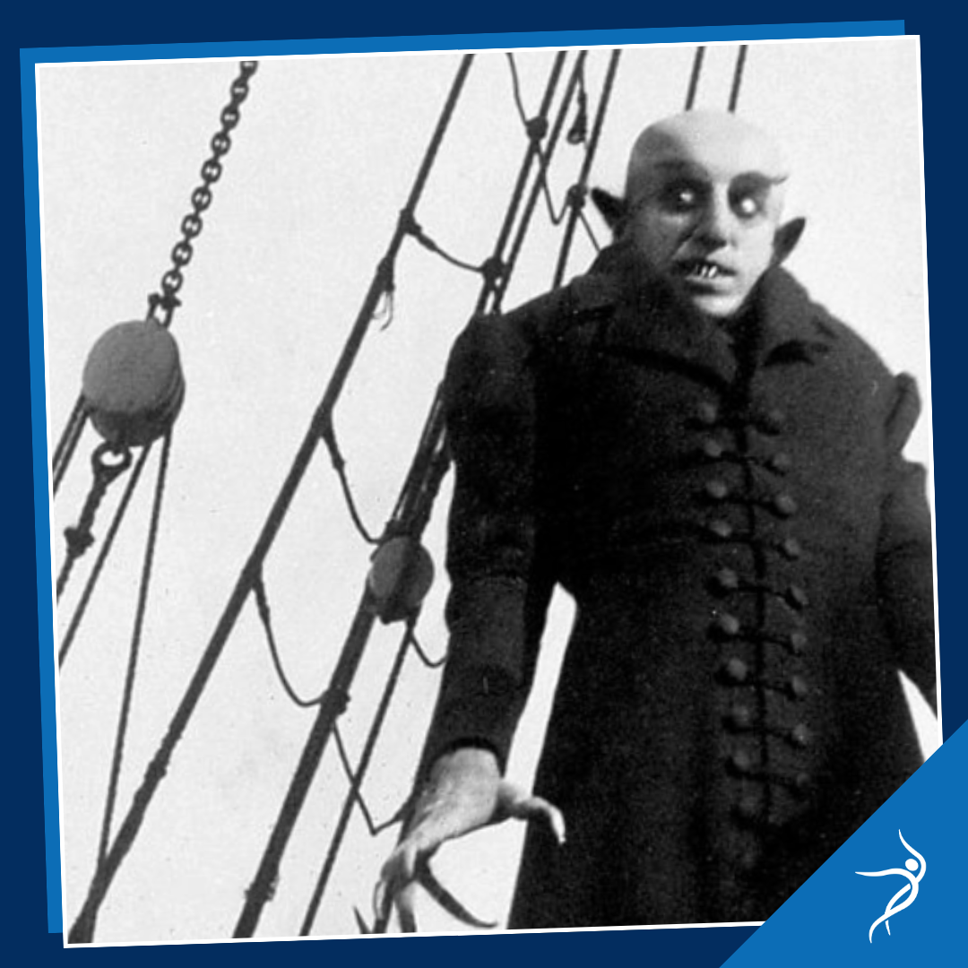 More Info for Nosferatu: A Symphony of Horror (1922)